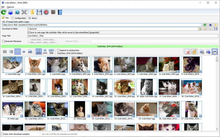 Bulk Image Downloader Free