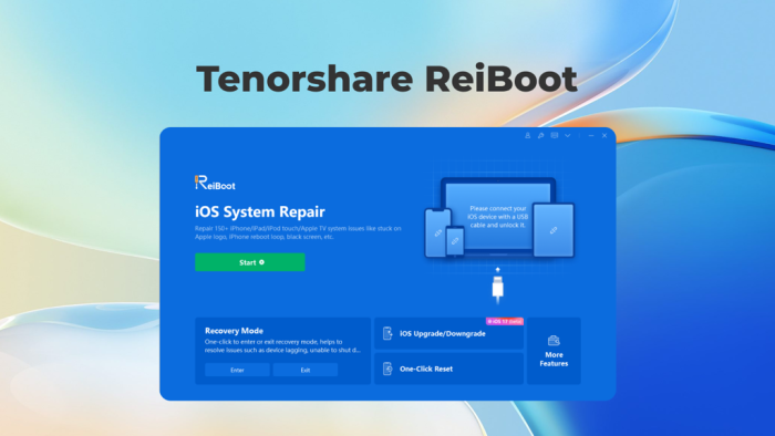 Tenorshare ReiBoot Pro Free